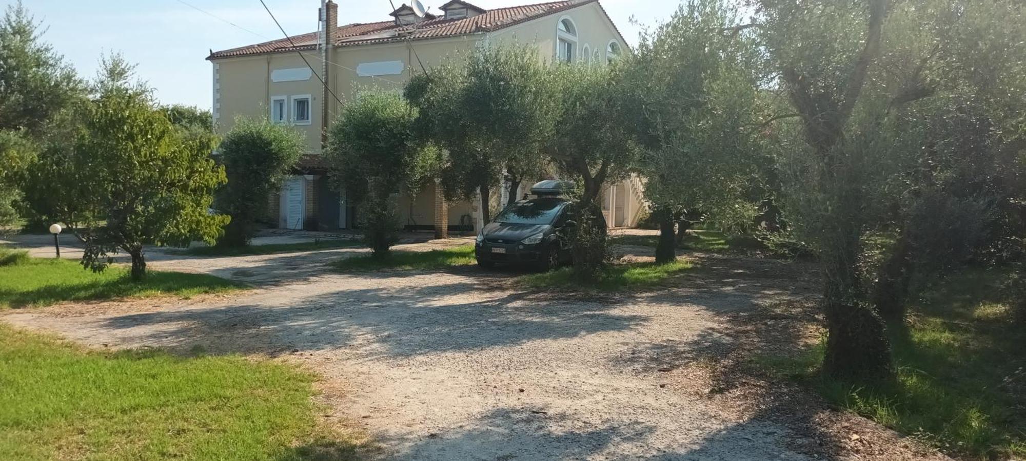 Antonios Olive Garden Acharavi Kerkyra Apartment Bagian luar foto